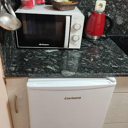 O Seixo 1 *